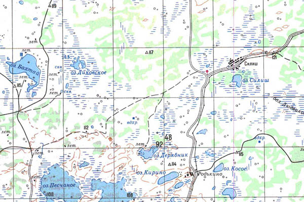Уменьшенный фрагмент представленной топографической карты N-43-04 - Trasa.ru