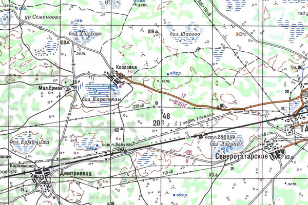 Уменьшенный фрагмент представленной топографической карты N-43-10 - Trasa.ru