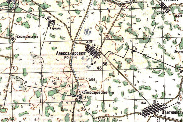 Уменьшенный фрагмент представленной топографической карты N-43-13 - Trasa.ru