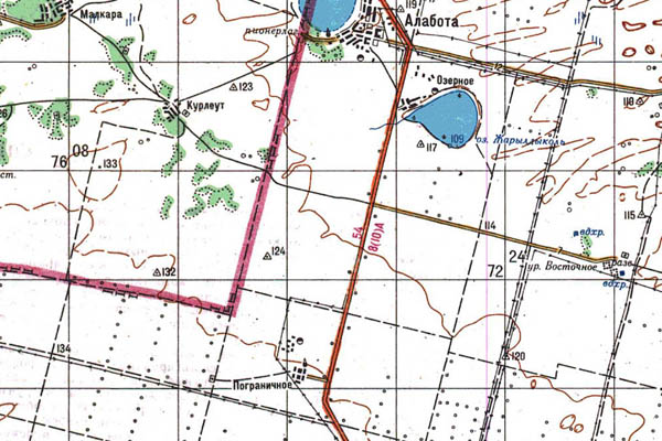 Уменьшенный фрагмент представленной топографической карты N-43-20 - Trasa.ru