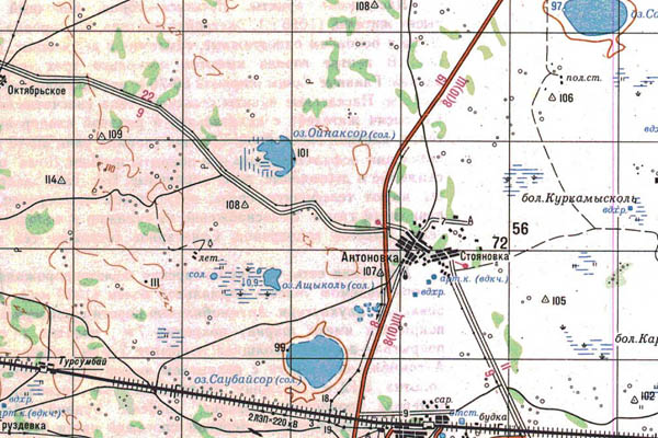 Уменьшенный фрагмент представленной топографической карты N-43-22 - Trasa.ru