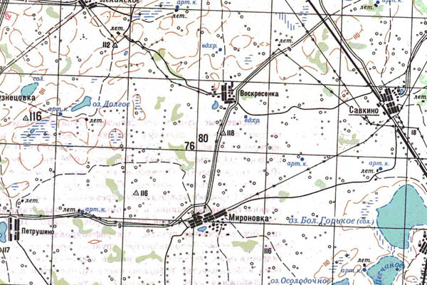 Уменьшенный фрагмент представленной топографической карты N-43-24 - Trasa.ru