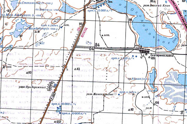 Уменьшенный фрагмент представленной топографической карты N-43-30 - Trasa.ru