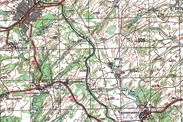 Уменьшенный фрагмент представленной топографической карты N-45-08 - Trasa.ru