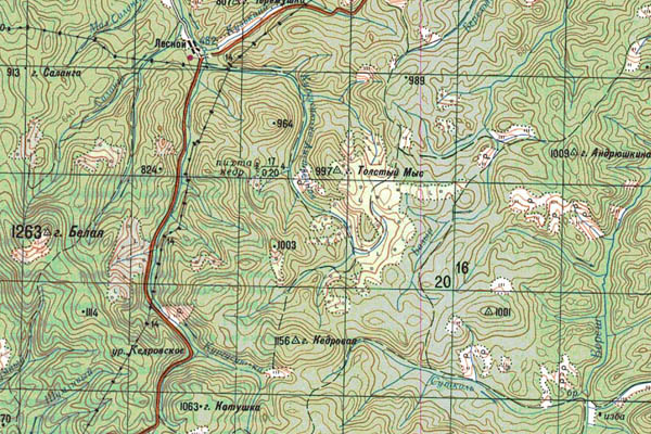 Уменьшенный фрагмент представленной топографической карты N-45-11 - Trasa.ru