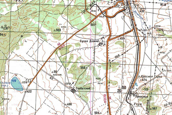 Уменьшенный фрагмент представленной топографической карты N-45-12 - Trasa.ru
