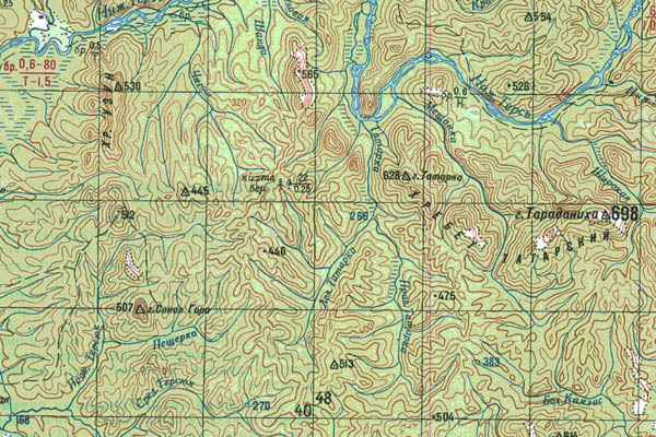 Уменьшенный фрагмент представленной топографической карты N-45-16 - Trasa.ru