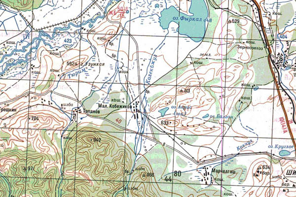 Уменьшенный фрагмент представленной топографической карты N-45-18 - Trasa.ru