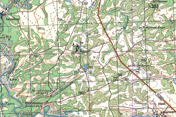 Уменьшенный фрагмент представленной топографической карты N-45-19 - Trasa.ru