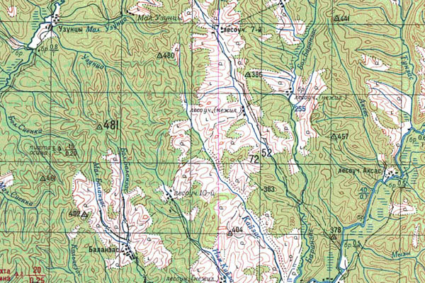 Уменьшенный фрагмент представленной топографической карты N-45-22 - Trasa.ru