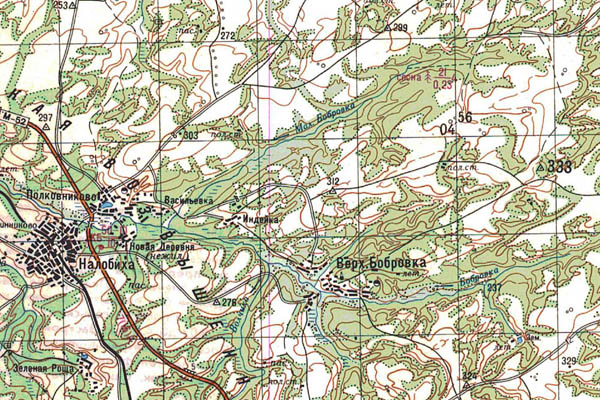 Уменьшенный фрагмент представленной топографической карты N-45-25 - Trasa.ru