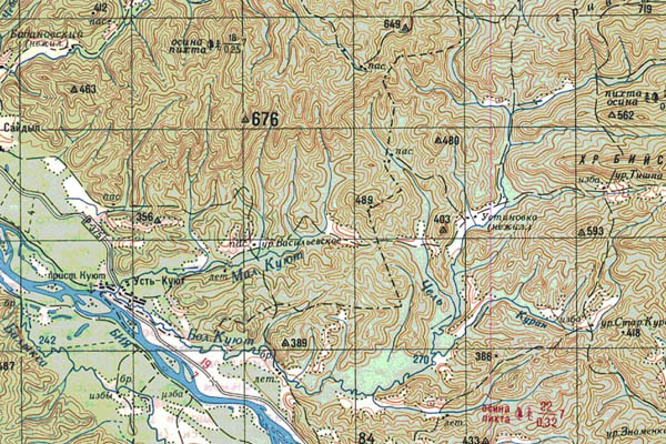 Уменьшенный фрагмент представленной топографической карты N-45-33 - Trasa.ru