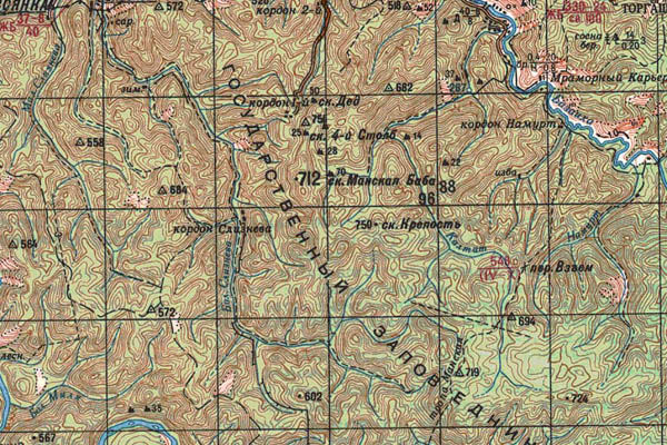 Уменьшенный фрагмент представленной топографической карты N-46-03 - Trasa.ru