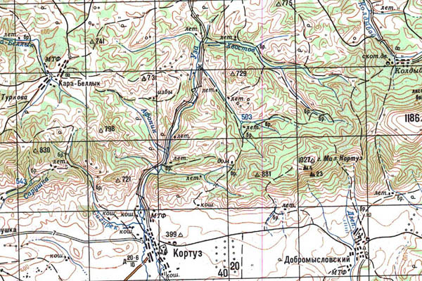 Уменьшенный фрагмент представленной топографической карты N-46-14 - Trasa.ru