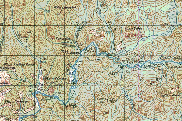 Уменьшенный фрагмент представленной топографической карты N-46-15 - Trasa.ru