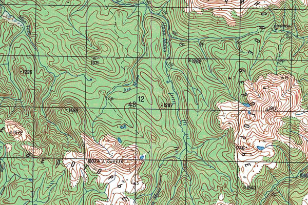 Уменьшенный фрагмент представленной топографической карты N-46-17 - Trasa.ru