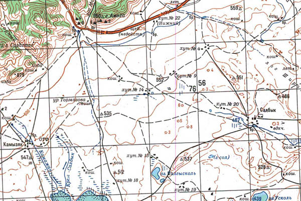 Уменьшенный фрагмент представленной топографической карты N-46-19 - Trasa.ru