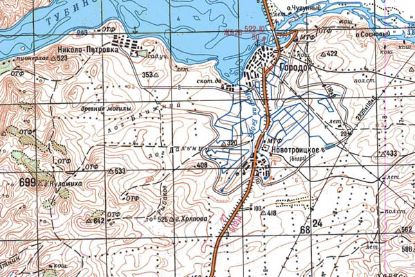 Уменьшенный фрагмент представленной топографической карты N-46-20 - Trasa.ru