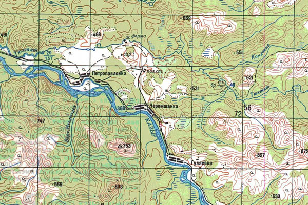 Уменьшенный фрагмент представленной топографической карты N-46-22 - Trasa.ru