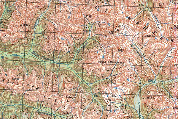 Уменьшенный фрагмент представленной топографической карты N-46-24 - Trasa.ru