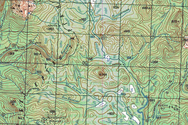 Уменьшенный фрагмент представленной топографической карты N-46-29 - Trasa.ru