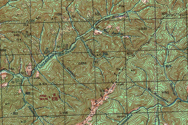 Уменьшенный фрагмент представленной топографической карты N-46-31 - Trasa.ru