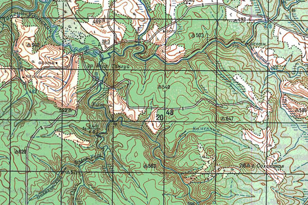 Уменьшенный фрагмент представленной топографической карты N-47-10 - Trasa.ru