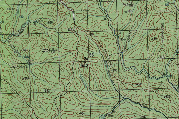 Уменьшенный фрагмент представленной топографической карты N-48-07 - Trasa.ru