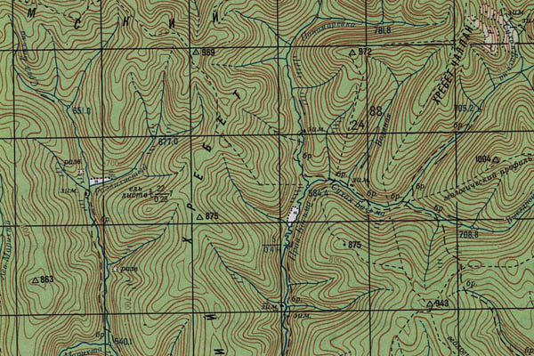 Уменьшенный фрагмент представленной топографической карты N-48-09 - Trasa.ru
