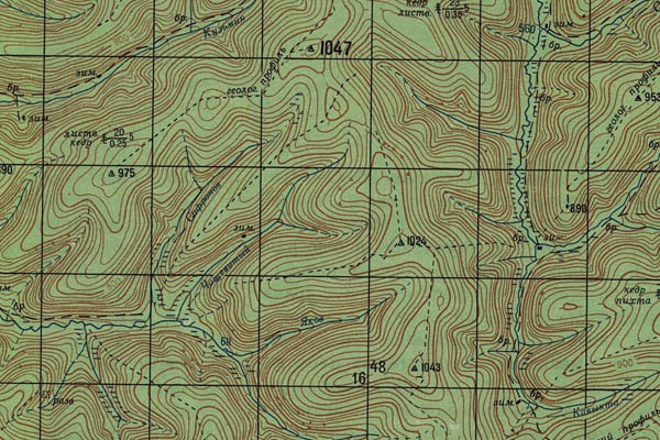Уменьшенный фрагмент представленной топографической карты N-48-10 - Trasa.ru
