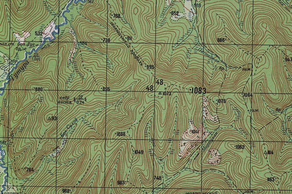 Уменьшенный фрагмент представленной топографической карты N-48-16 - Trasa.ru
