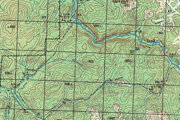 Уменьшенный фрагмент представленной топографической карты N-48-18 - Trasa.ru