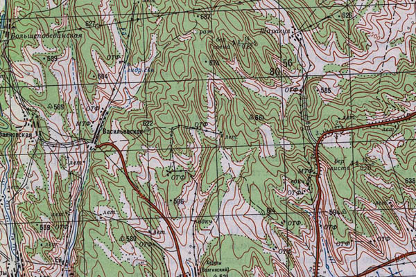 Уменьшенный фрагмент представленной топографической карты N-48-19 - Trasa.ru