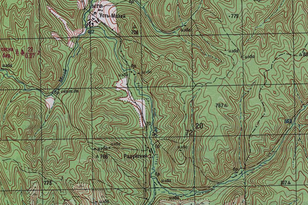 Уменьшенный фрагмент представленной топографической карты N-48-20 - Trasa.ru