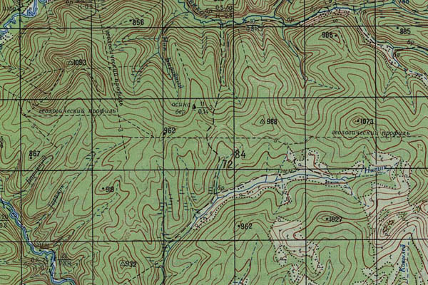 Уменьшенный фрагмент представленной топографической карты N-48-21 - Trasa.ru