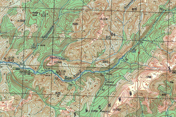 Уменьшенный фрагмент представленной топографической карты N-48-24 - Trasa.ru