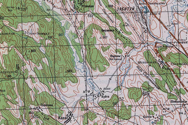 Уменьшенный фрагмент представленной топографической карты N-48-25 - Trasa.ru