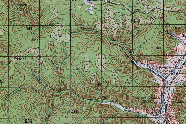 Уменьшенный фрагмент представленной топографической карты N-48-27 - Trasa.ru