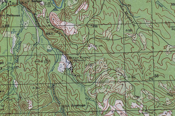 Уменьшенный фрагмент представленной топографической карты N-48-31 - Trasa.ru
