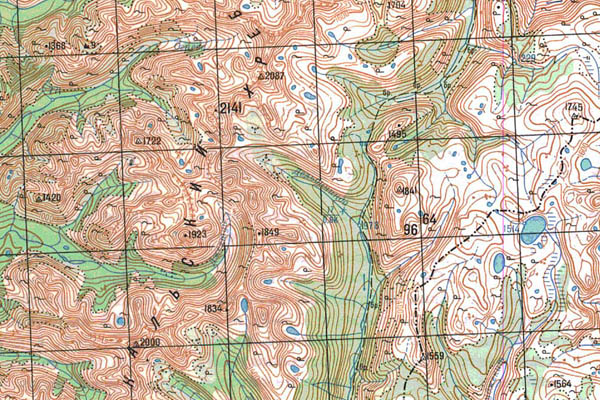 Уменьшенный фрагмент представленной топографической карты N-49-01 - Trasa.ru