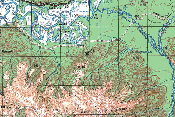 Уменьшенный фрагмент представленной топографической карты N-49-03 - Trasa.ru