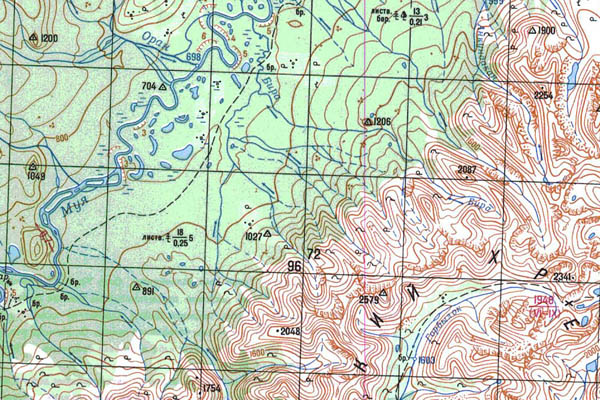 Уменьшенный фрагмент представленной топографической карты N-49-06 - Trasa.ru