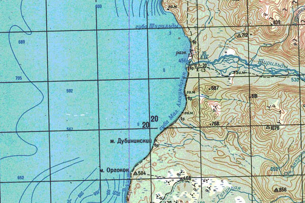 Уменьшенный фрагмент представленной топографической карты N-49-08 - Trasa.ru