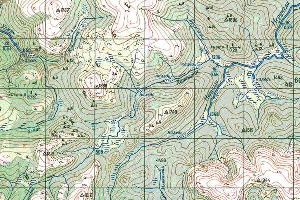 Уменьшенный фрагмент представленной топографической карты N-49-16 - Trasa.ru