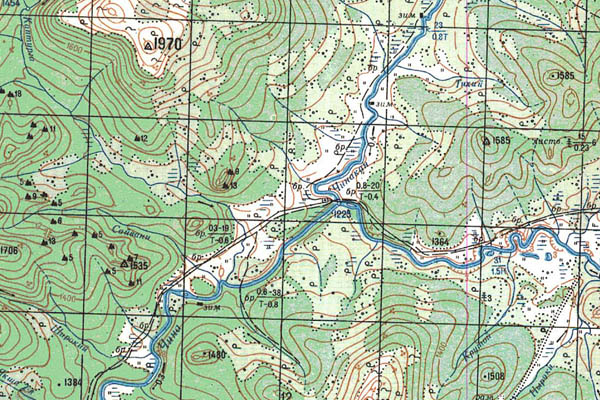 Уменьшенный фрагмент представленной топографической карты N-49-17 - Trasa.ru