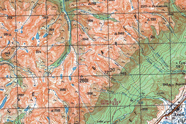 Уменьшенный фрагмент представленной топографической карты N-49-20 - Trasa.ru