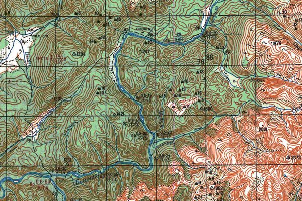 Уменьшенный фрагмент представленной топографической карты N-49-21 - Trasa.ru