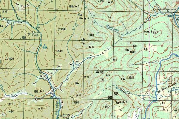 Уменьшенный фрагмент представленной топографической карты N-49-22 - Trasa.ru