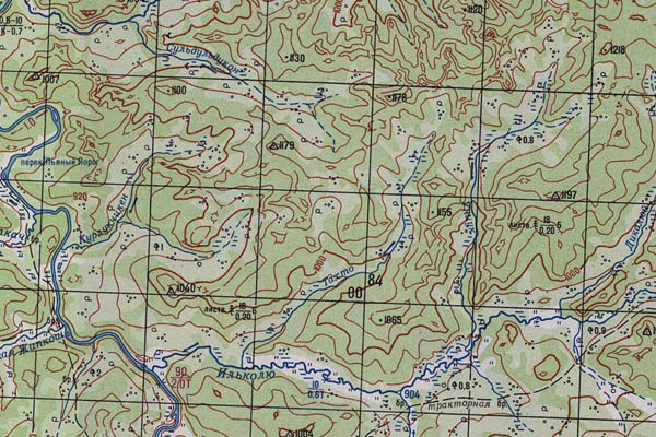 Уменьшенный фрагмент представленной топографической карты N-49-30 - Trasa.ru
