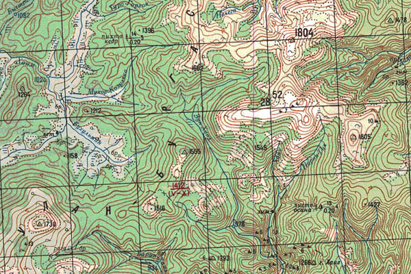 Уменьшенный фрагмент представленной топографической карты N-49-31 - Trasa.ru